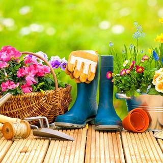 1600x900 spring garden wallpaper