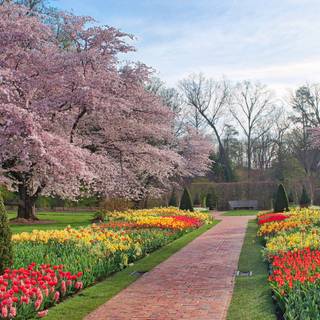 1600x900 spring garden wallpaper