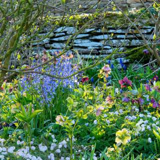 1600x900 spring garden wallpaper