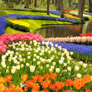 1600x900 spring garden wallpaper