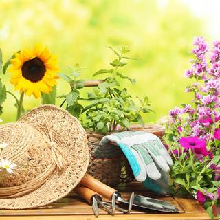 Garden tools wallpaper