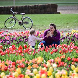 1600x900 spring garden wallpaper