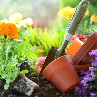 1600x900 spring garden wallpaper