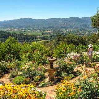 1600x900 spring garden wallpaper