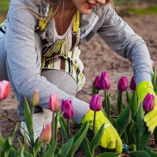 1600x900 spring garden wallpaper