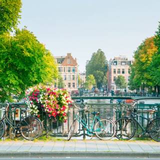 Bicycle spring PC wallpaper