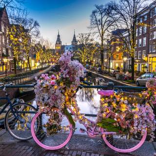 Bicycle spring PC wallpaper