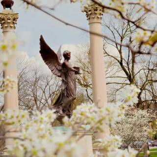 1600x900 spring garden wallpaper