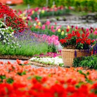 1600x900 spring garden wallpaper