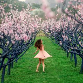 1600x900 spring garden wallpaper