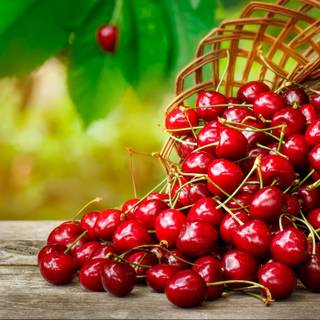 Summer cherries desktop wallpaper