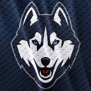 Huskies phone wallpaper