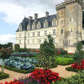 Château de Villandry wallpaper