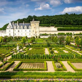 Château de Villandry wallpaper