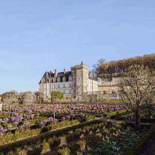 Château de Villandry wallpaper