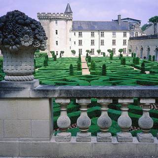 Château de Villandry wallpaper