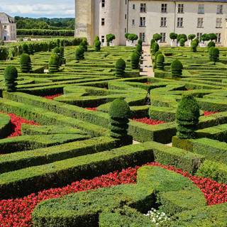 Château de Villandry wallpaper