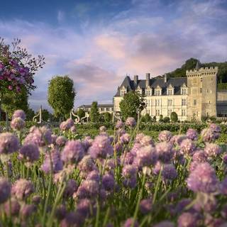 Château de Villandry wallpaper