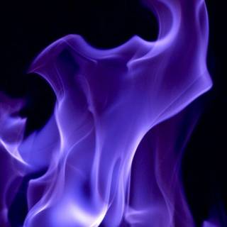 Electric violet wallpaper