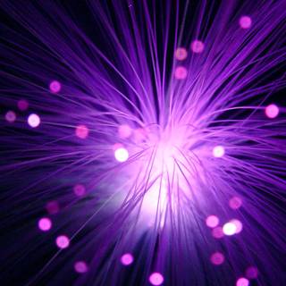 Electric violet wallpaper
