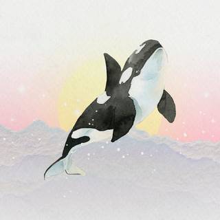 Orca The Killer Whale wallpaper