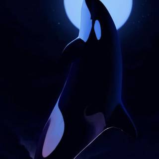 Orca The Killer Whale wallpaper