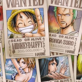 Nami and Nico Robin wallpaper