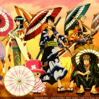 Nami and Nico Robin wallpaper