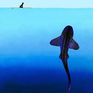 Leopard shark wallpaper