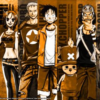 Nami and Nico Robin wallpaper