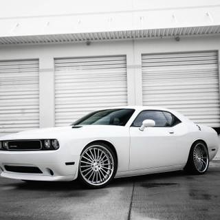 White Dodge Challenger wallpaper