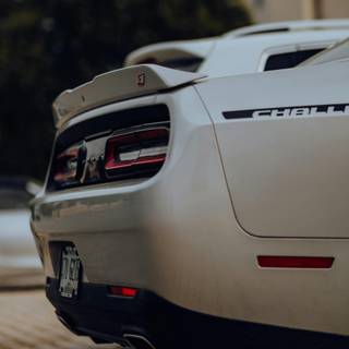 White Dodge Challenger wallpaper