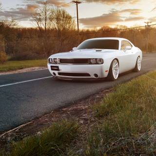 White Dodge Challenger wallpaper