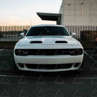 White Dodge Challenger wallpaper