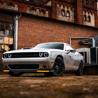 White Dodge Challenger wallpaper