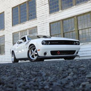 White Dodge Challenger wallpaper