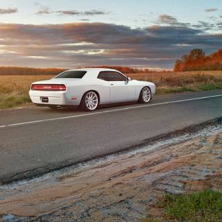 White Dodge Challenger wallpaper