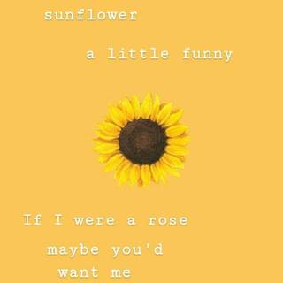 Funny and sweet wallpaper