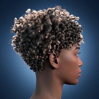 Africans Afro hair wallpaper