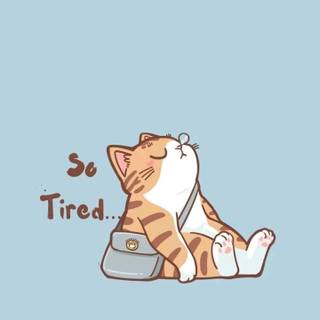 Funny and adorable wallpaper