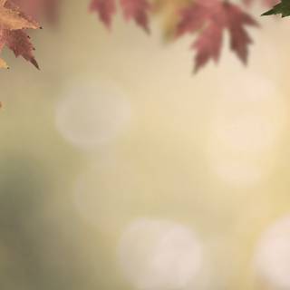 Acknowledgement wallpaper