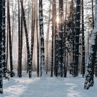 Acknowledgement wallpaper