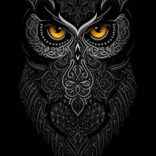 Vivo iQOO Z9s Pro wallpaper