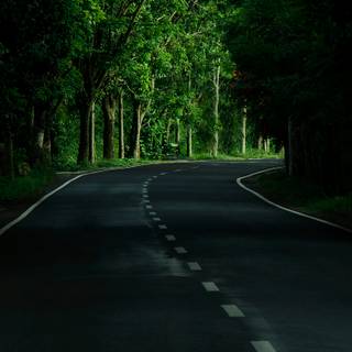 Main road wallpaper