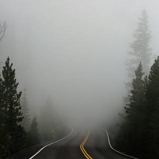 Main road wallpaper