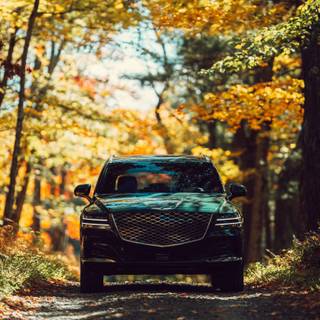 Genesis car wallpaper