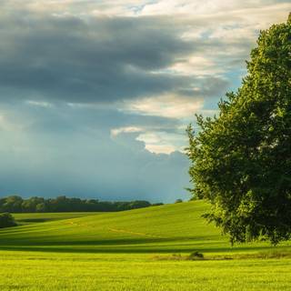 3840x1200 summer wallpaper