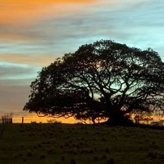 3840x1200 summer wallpaper