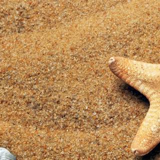 3840x1200 summer wallpaper