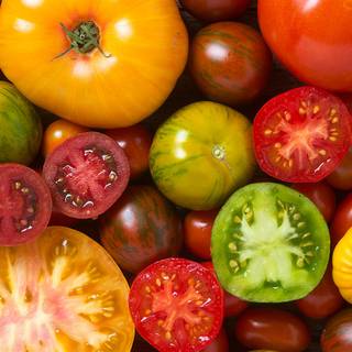 Tomato summer wallpaper